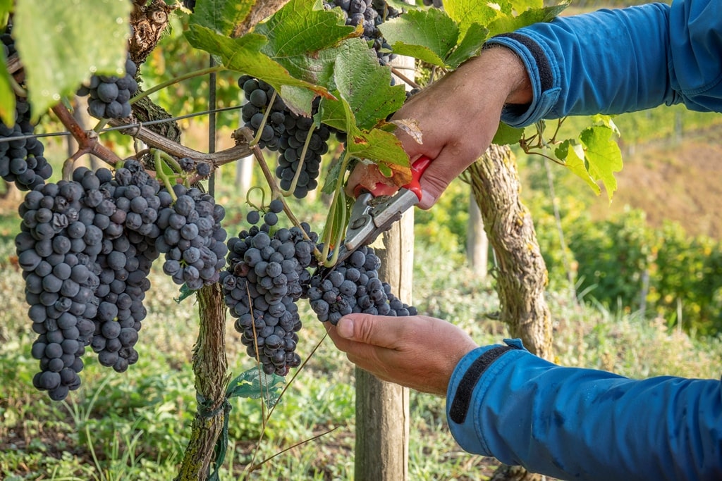 Waar zijn we aan begonnen?